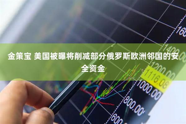 金策宝 美国被曝将削减部分俄罗斯欧洲邻国的安全资金