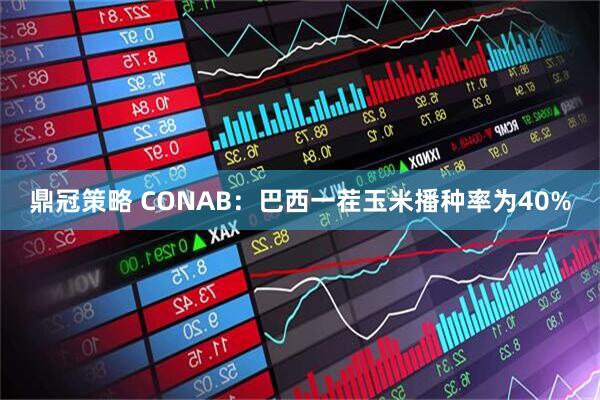 鼎冠策略 CONAB：巴西一茬玉米播种率为40%