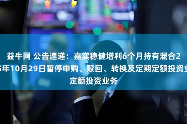 益牛网 公告速递：嘉实稳健增利6个月持有混合2025年10月29日暂停申购、赎回、转换及定期定额投资业务